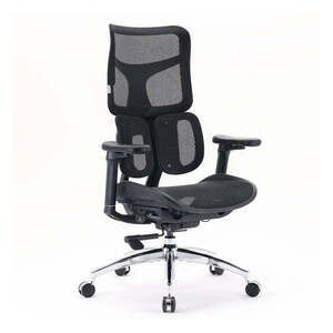 Sihoo Doro S100 Ergonomic Office Chair