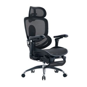 Sihoo Doro C300 Pro V2 Ergonomic Chair