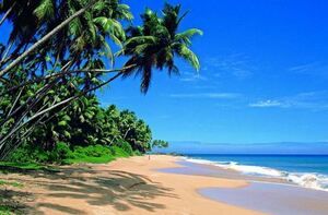 Singapore Airlines: Colombo return