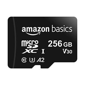 Amazon Basics 256GB microSDXC - All-Time Low