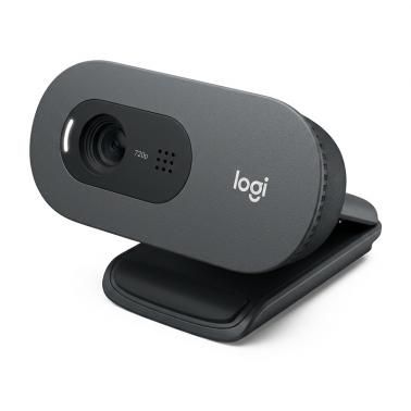 Logitech C505 HD