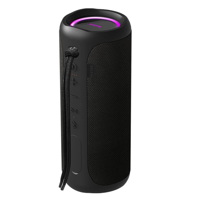 EFM Austin Pro 40W Bluetooth Speaker (Charcoal Black)